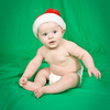 SmugMug > all-time keyword > dog > Emmett & Elvis + Mom&Dad photo